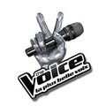 The Voice 2 : la plus belle voix