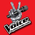 The Voice : la plus belle voix