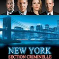 New York Section Criminelle