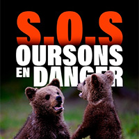 S.O.S. Oursons En Danger